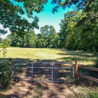 90.44 Acres Willow Springs Rd images 3