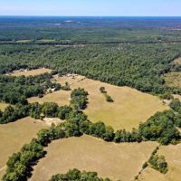 90.44 Acres Willow Springs Rd images 4