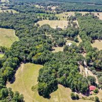 90.44 Acres Willow Springs Rd images 5