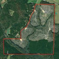 Excellent Recreational Tract in Heard County