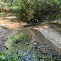 Excellent Recreational Tract in Heard County images 2