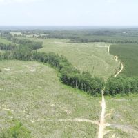 Excellent Recreational Tract in Heard County images 3