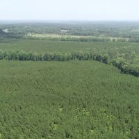 Excellent Recreational Tract in Heard County images 5