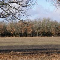 Turkey Peak Ranch images 2