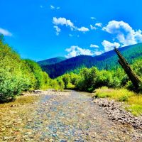 Whitepine Creek Off-Grid Escape images 2