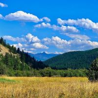 Whitepine Creek Off-Grid Escape images 4
