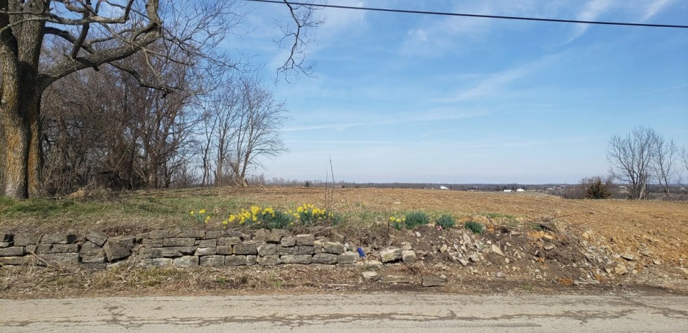 26-Acre Farm Property in Cynthiana KY featured image