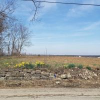 26-Acre Farm Property in Cynthiana KY