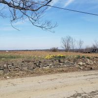 26-Acre Farm Property in Cynthiana KY images 2