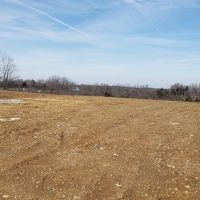 26-Acre Farm Property in Cynthiana KY images 3