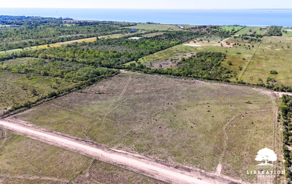 ANAHUAC Tract 6 13 Acres Only 15K Down featured image