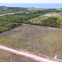 ANAHUAC Tract 6 13 Acres Only 15K Down