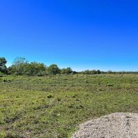 ANAHUAC Tract 6 13 Acres Only 15K Down images 3