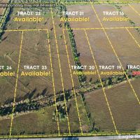 ANAHUAC Tract 6 13 Acres Only 15K Down images 4