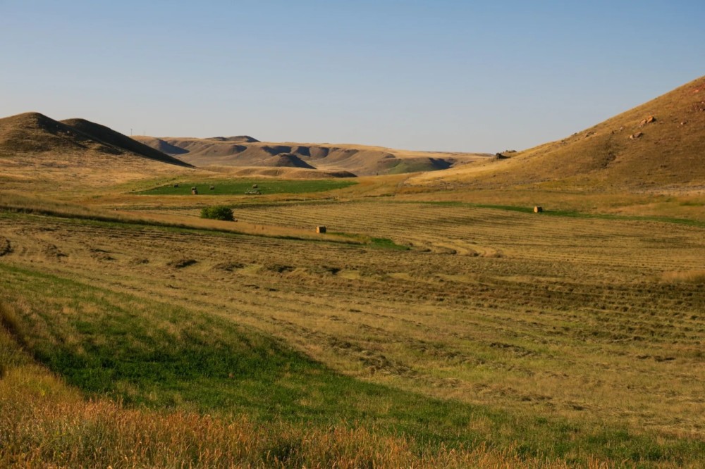 Wohlbrandt Ranch featured image