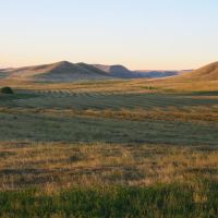 Wohlbrandt Ranch images 3