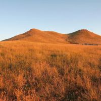 Wohlbrandt Ranch images 4