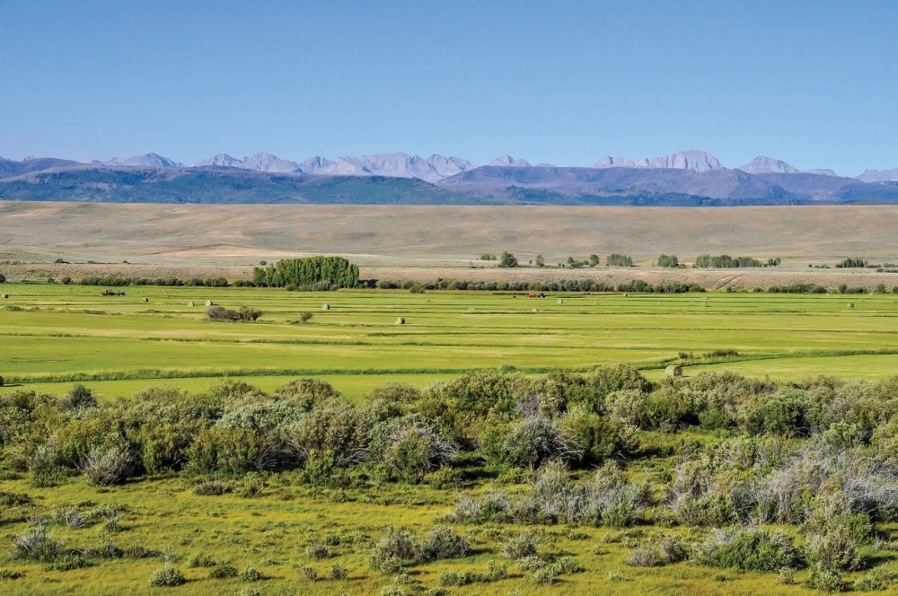 Bar Cross Ranch featured image