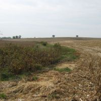 152 ACRES - PRIME RIVERFRONT WITH NEARBY CROPGROUND - MONTGOMERY COUNTY, IA!