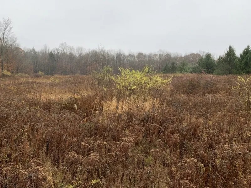 4 acres Building Lot with Views Field and Woods in Allen NY on Klein Road featured image