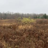 4 acres Building Lot with Views Field and Woods in Allen NY on Klein Road