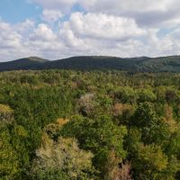 SOLD 5 - wooded acres