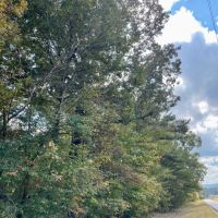 SOLD 5 - wooded acres images 2