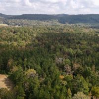 SOLD 5 - wooded acres images 4