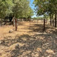 431 Turkeyfoot Lane images 3