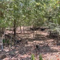 431 Turkeyfoot Lane images 4