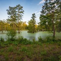 Jefferson Upper Bayou Ranch images 1