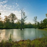 Jefferson Upper Bayou Ranch images 2