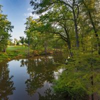 Jefferson Upper Bayou Ranch images 4