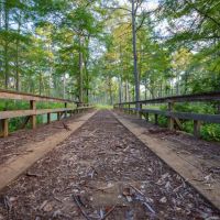 Jefferson Upper Bayou Ranch images 5