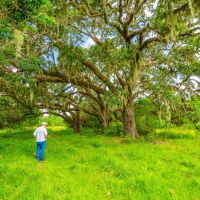 River Bottom Ranch images 2