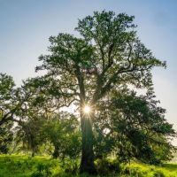 River Bottom Ranch images 3