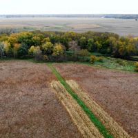 McLean County Illinois 63 Acres For Sale images 4