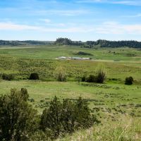 Bitter Creek Farm Ranch images 2