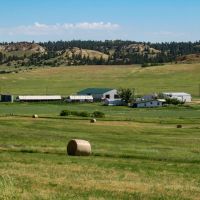Bitter Creek Farm Ranch images 4