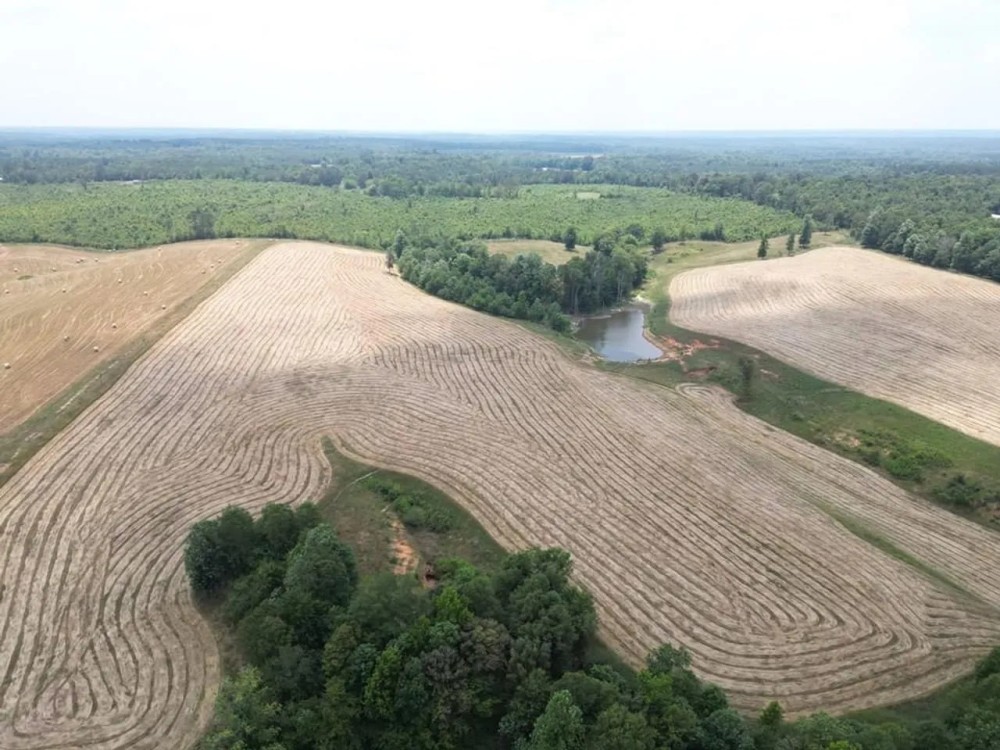 107 Acres Pastureland for Sale Southwest Mississippi featured image