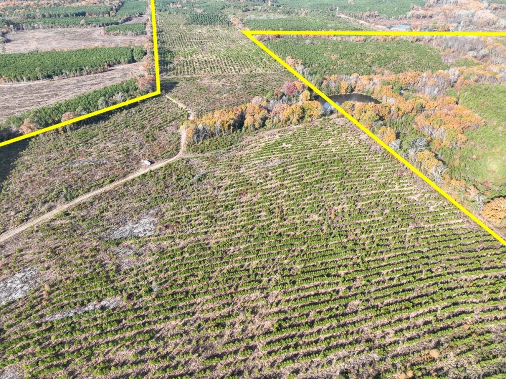 433 Acres CR 3201 Maya 1008 featured image