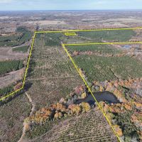 433 Acres CR 3201 Maya 1008 images 2