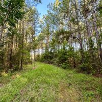 10 Acres Howell Rd.