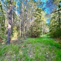 10 Acres Howell Rd. images 4