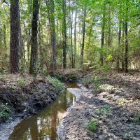 10 Acres Howell Rd. images 5