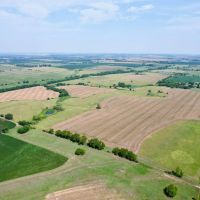 Coffey County Diversified Parcel Near Proposed Chip Plant images 4