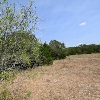 1345 Davis Rd Tr 3 images 4