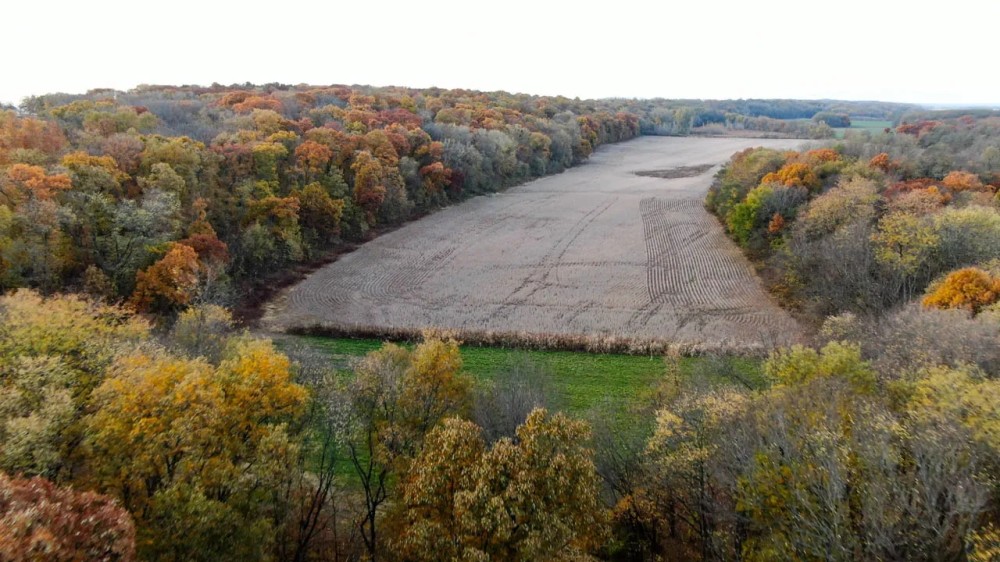 Henderson County Illinois 122 Acres For Sale PRICE REDUCED featured image