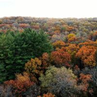 Henderson County Illinois 122 Acres For Sale PRICE REDUCED images 4