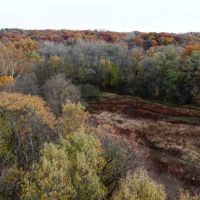 Henderson County Illinois 122 Acres For Sale PRICE REDUCED images 5